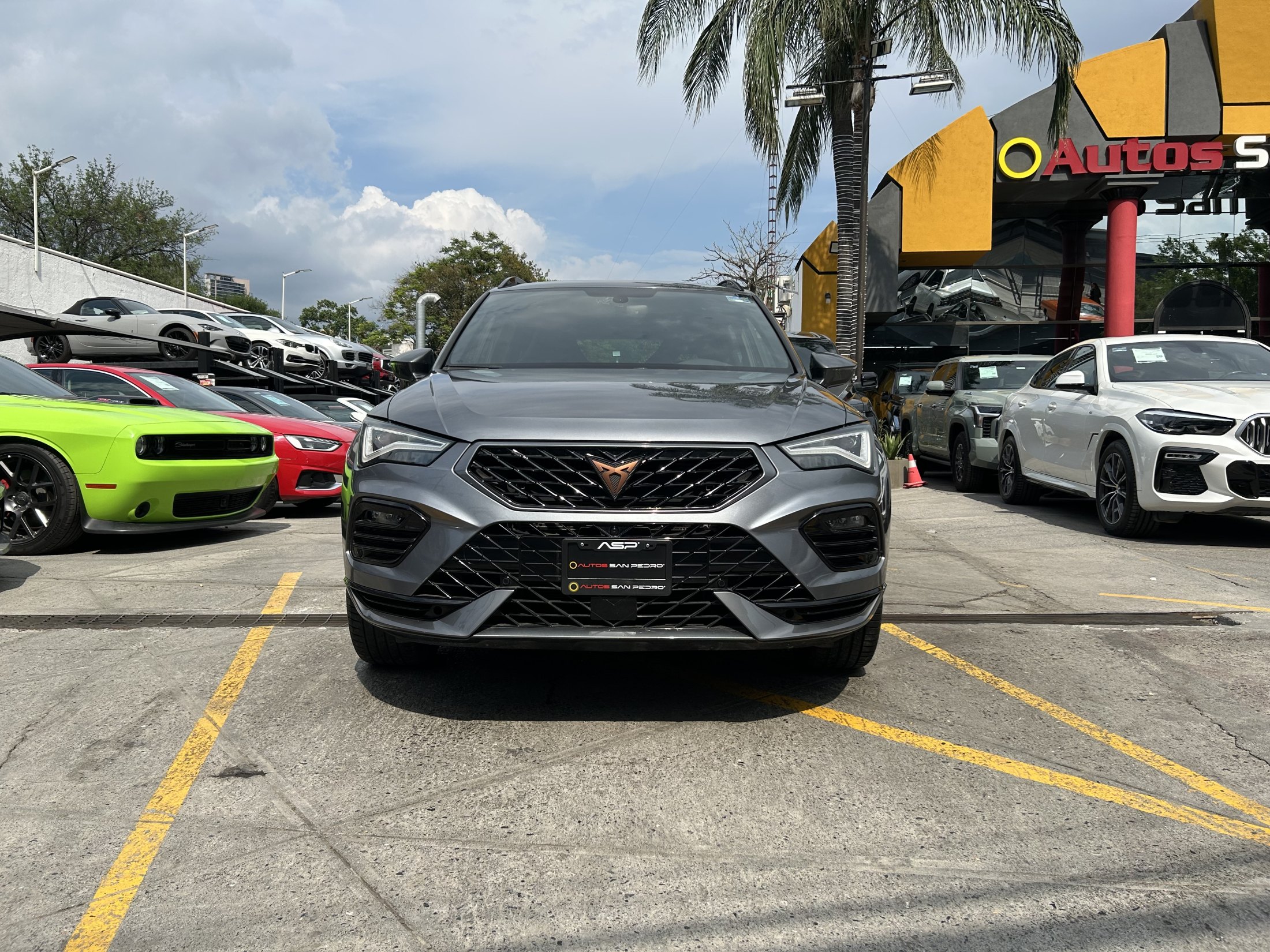 Cupra Ateca DS6