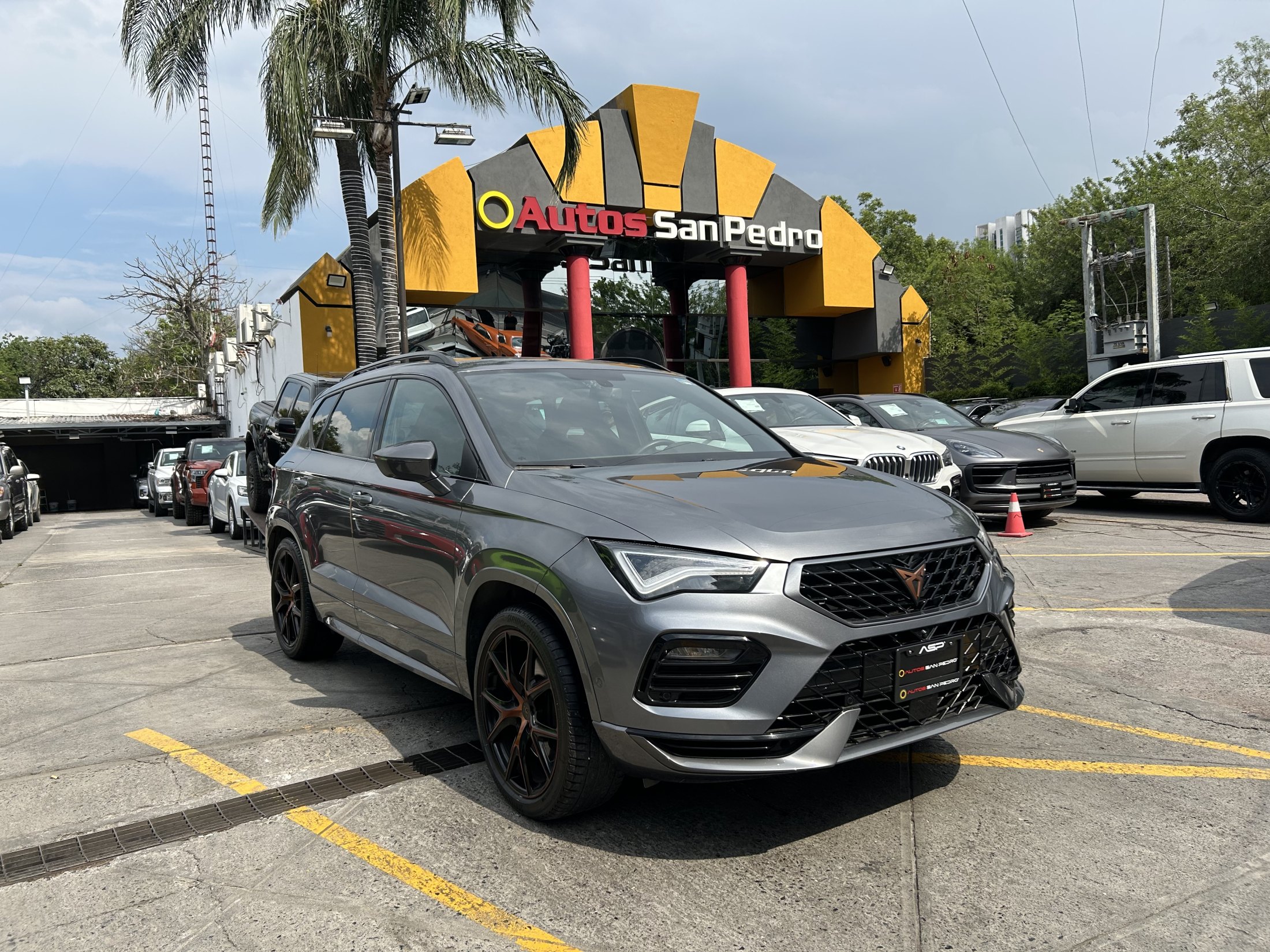 Cupra Ateca DS6