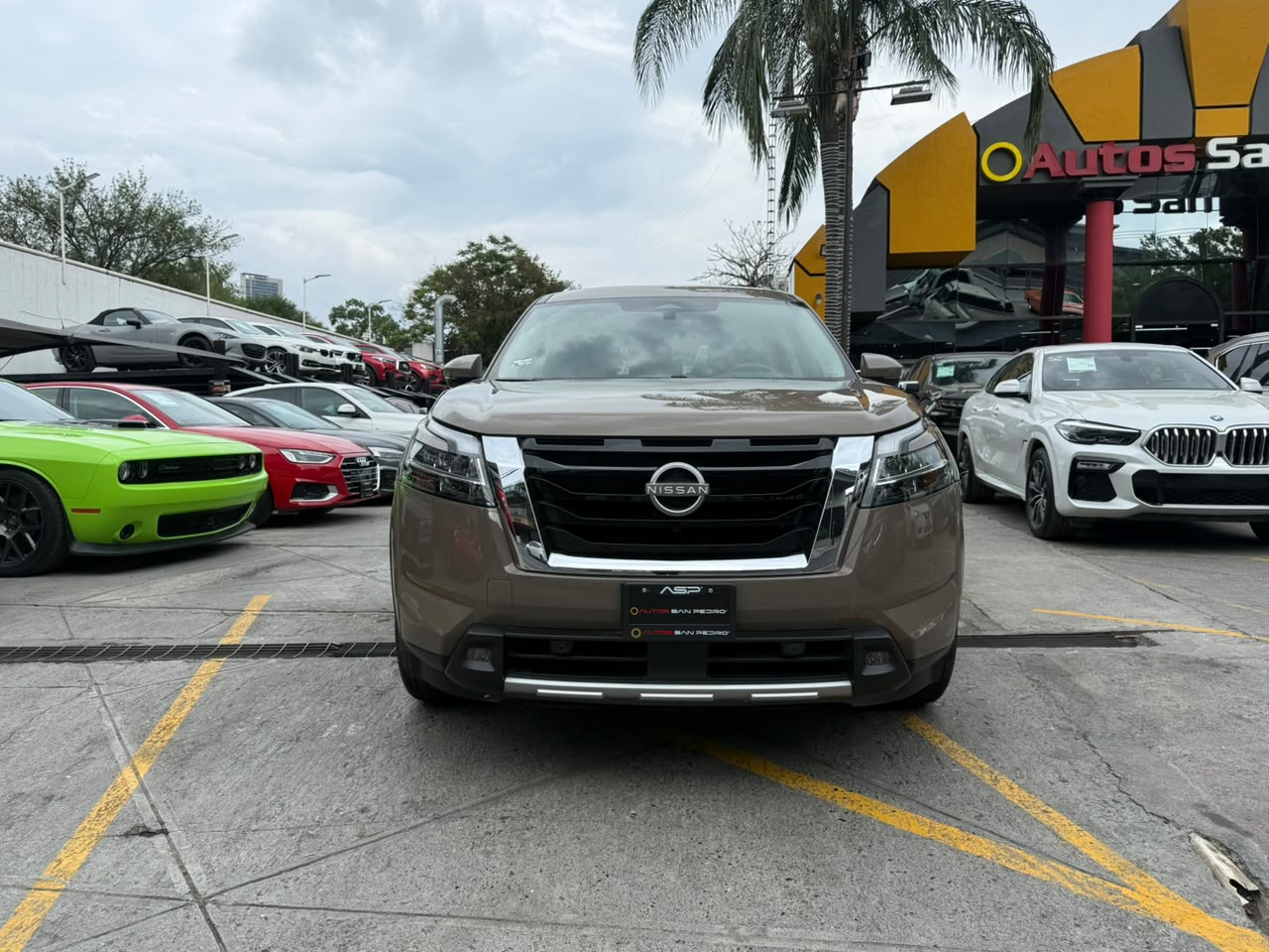 PATHFINDER PLATINUM