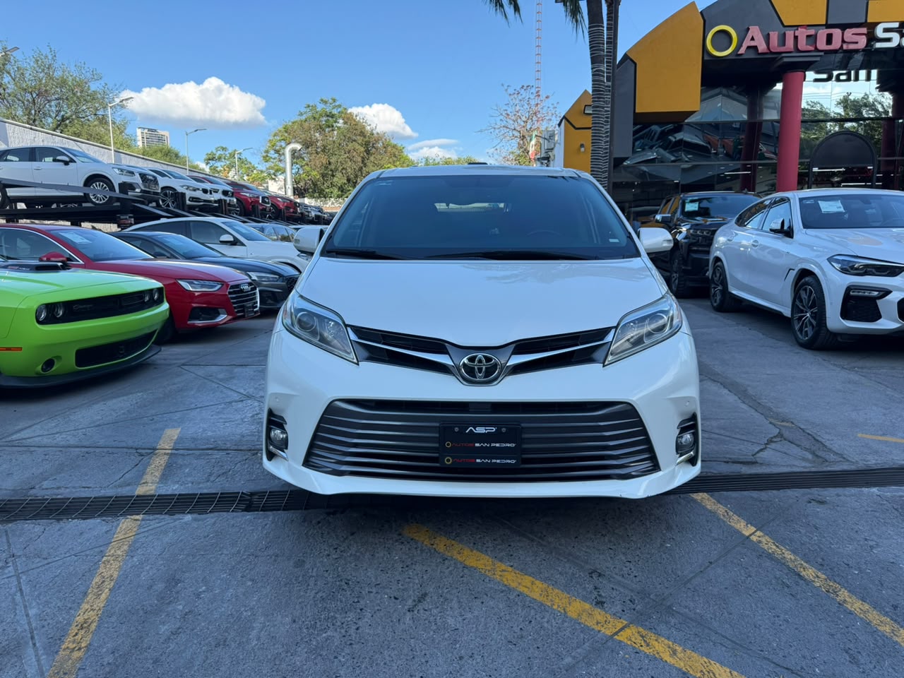 SIENNA LIMITED