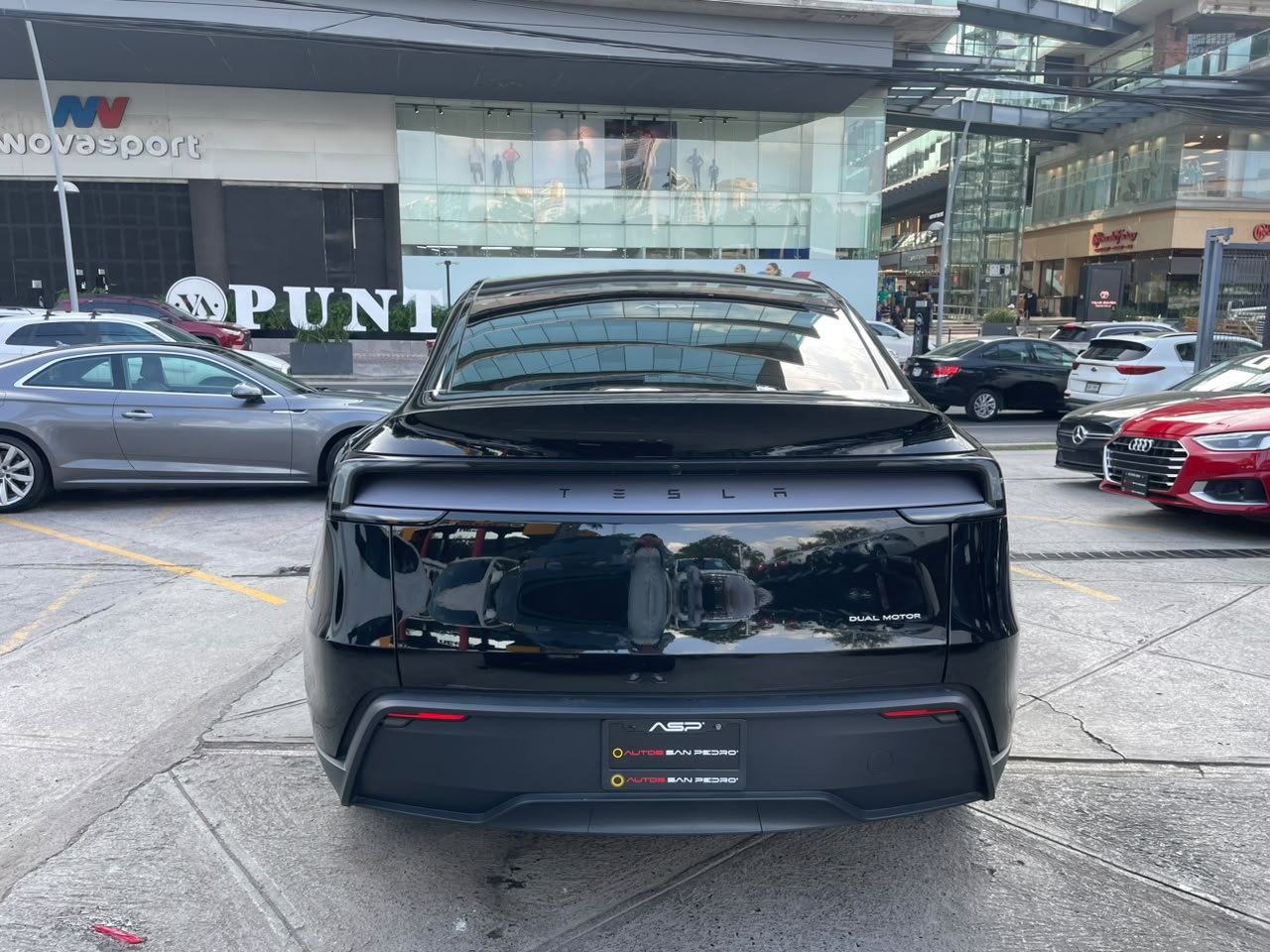 TESLA Y AUTONOMIA MAYOR