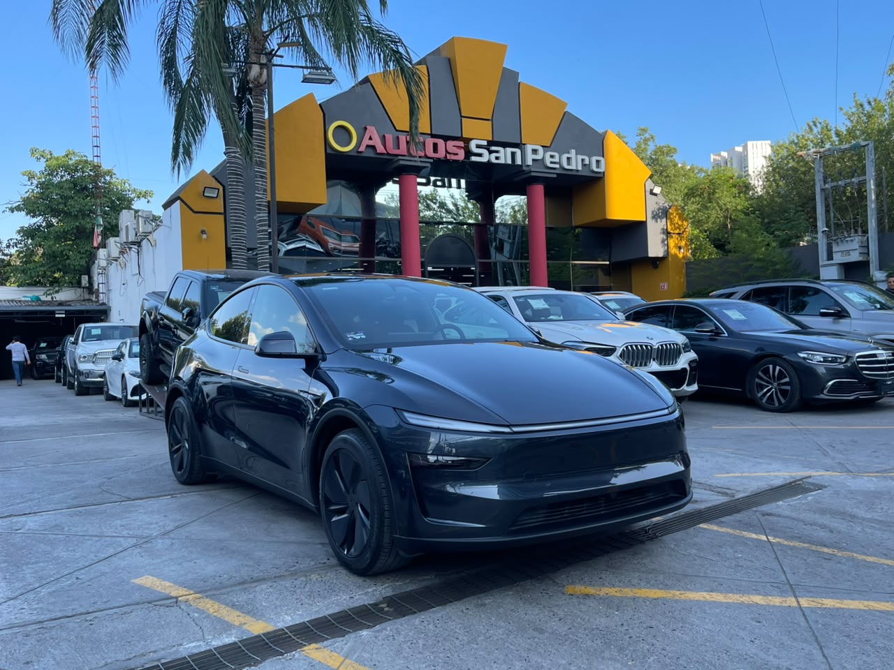 MODEL Y RWD