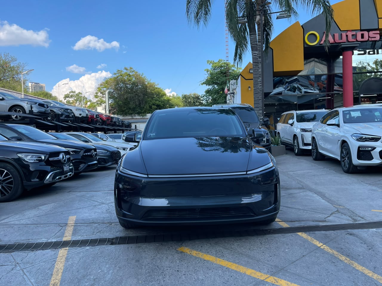 MODEL Y RWD