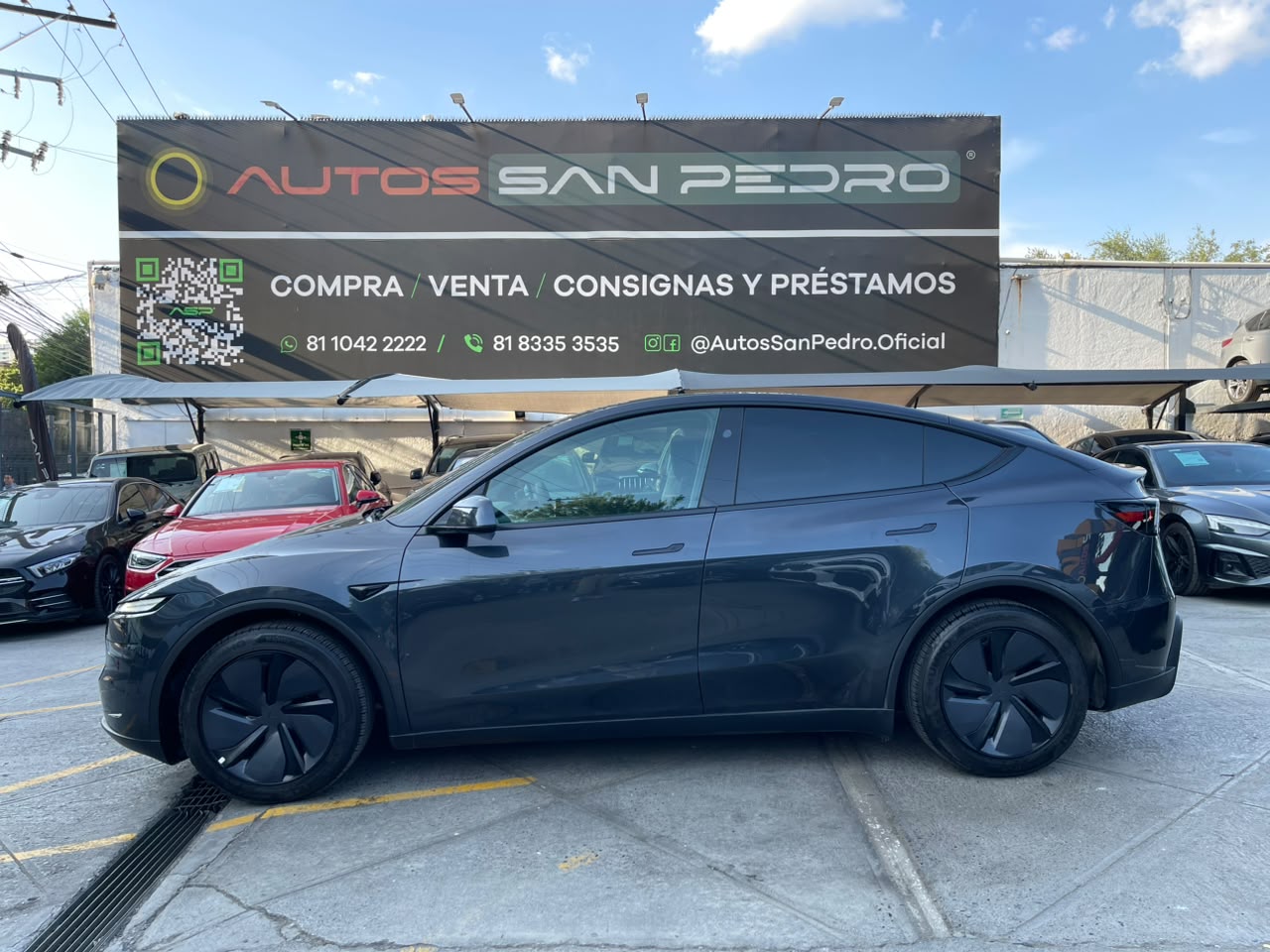 MODEL Y RWD