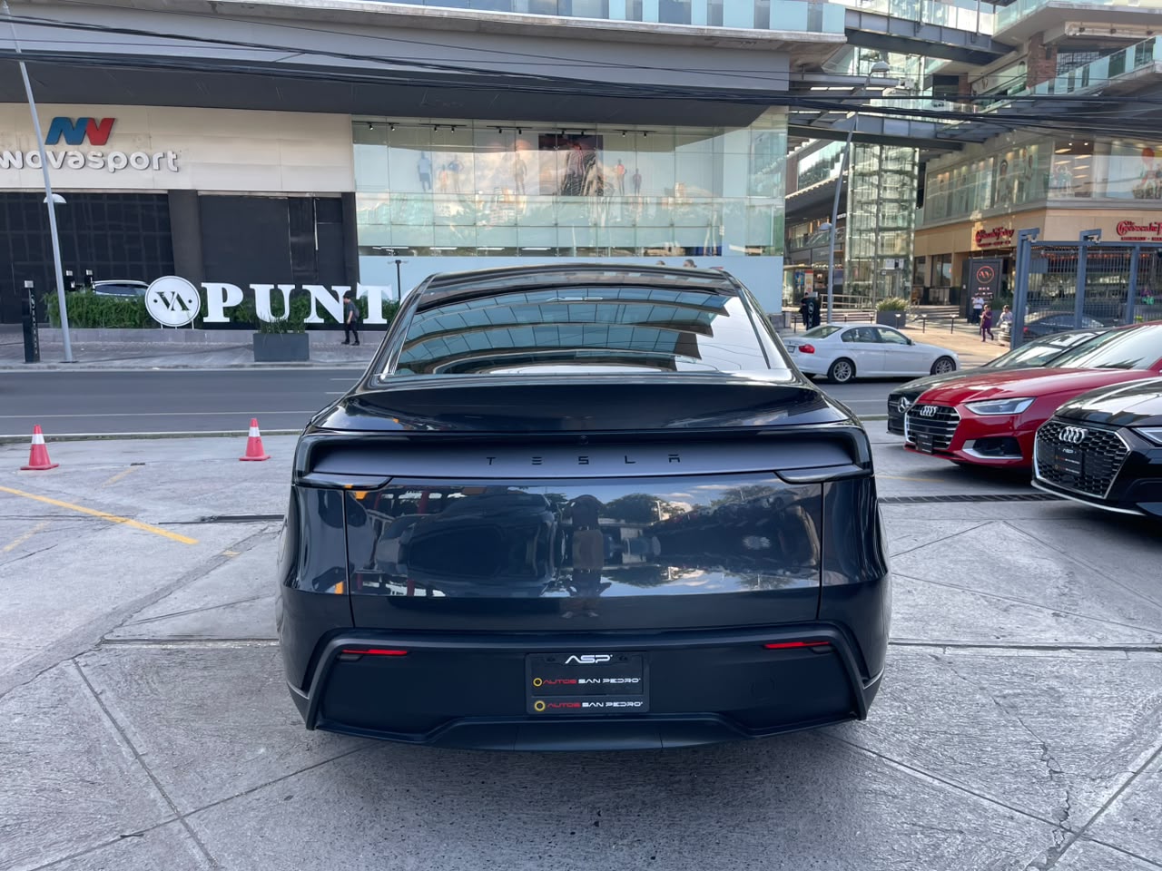 MODEL Y RWD