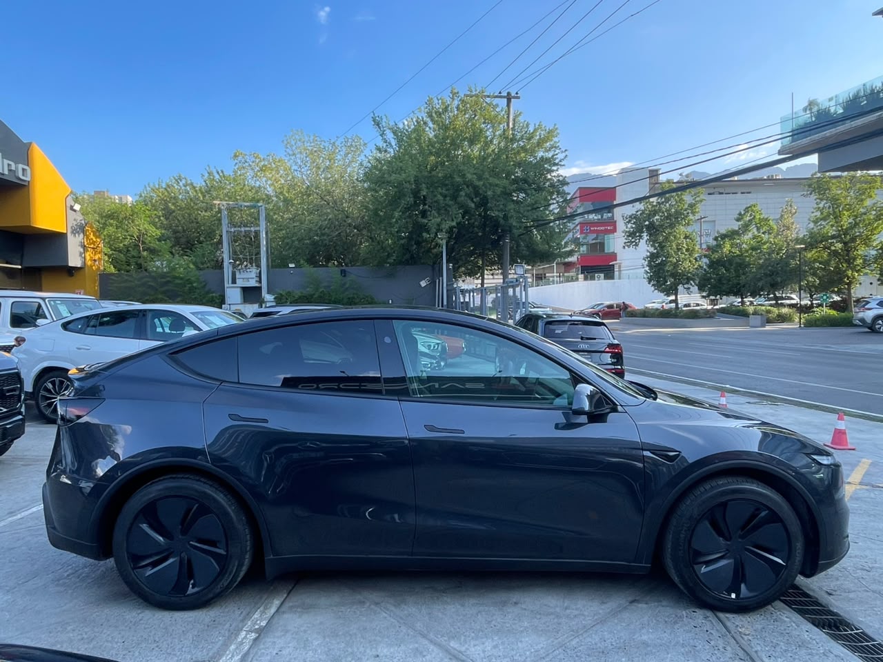 MODEL Y RWD