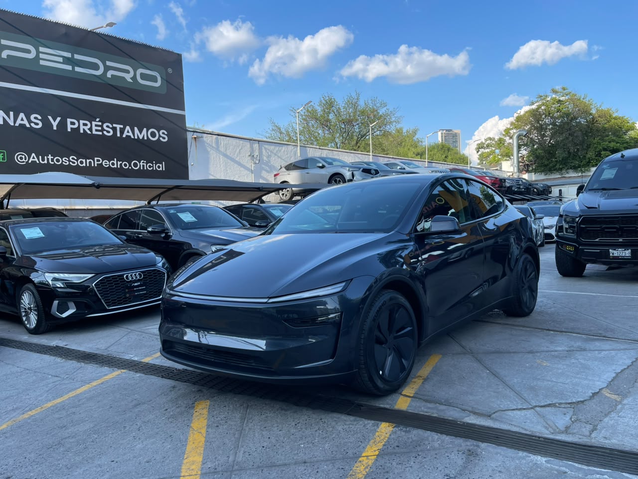 MODEL Y RWD
