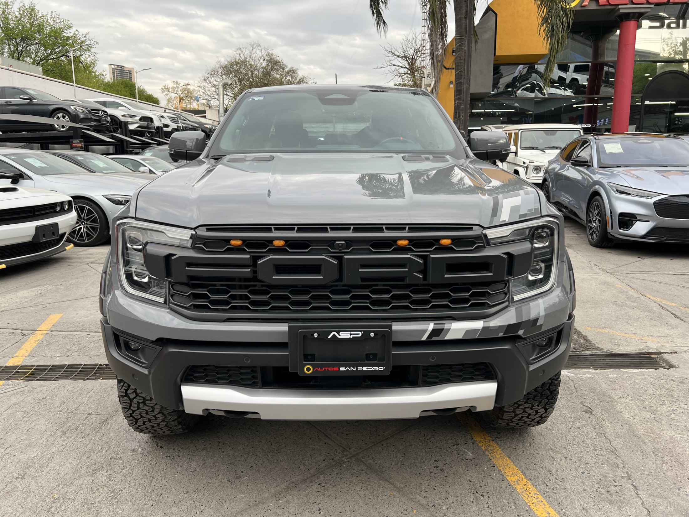 RANGER RAPTOR