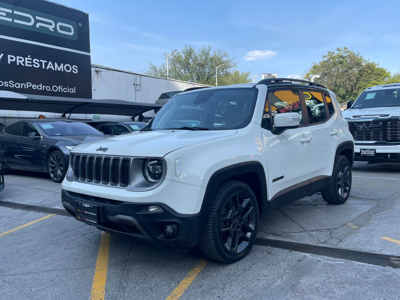 RENEGADE LIMITED