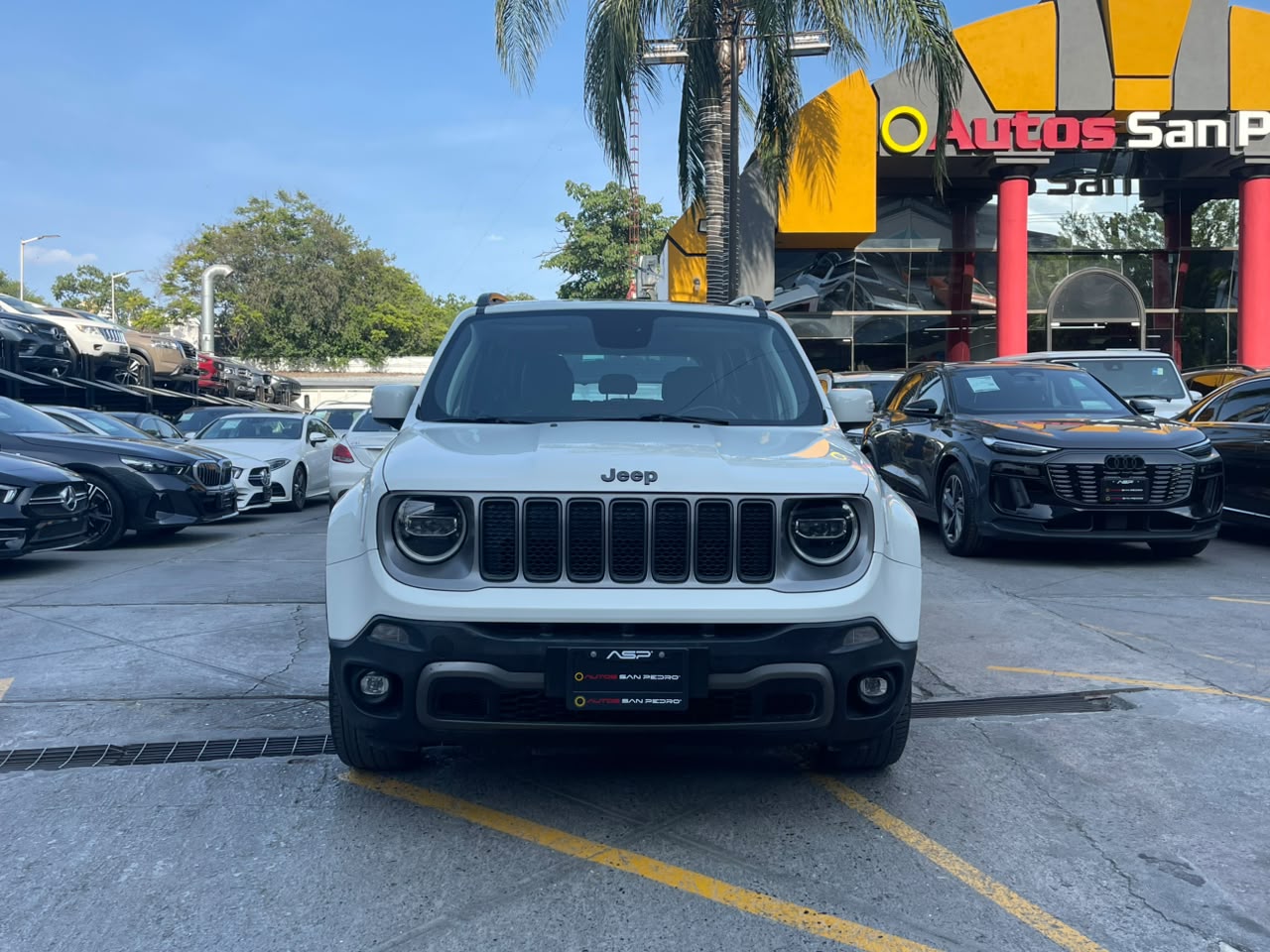 RENEGADE LIMITED