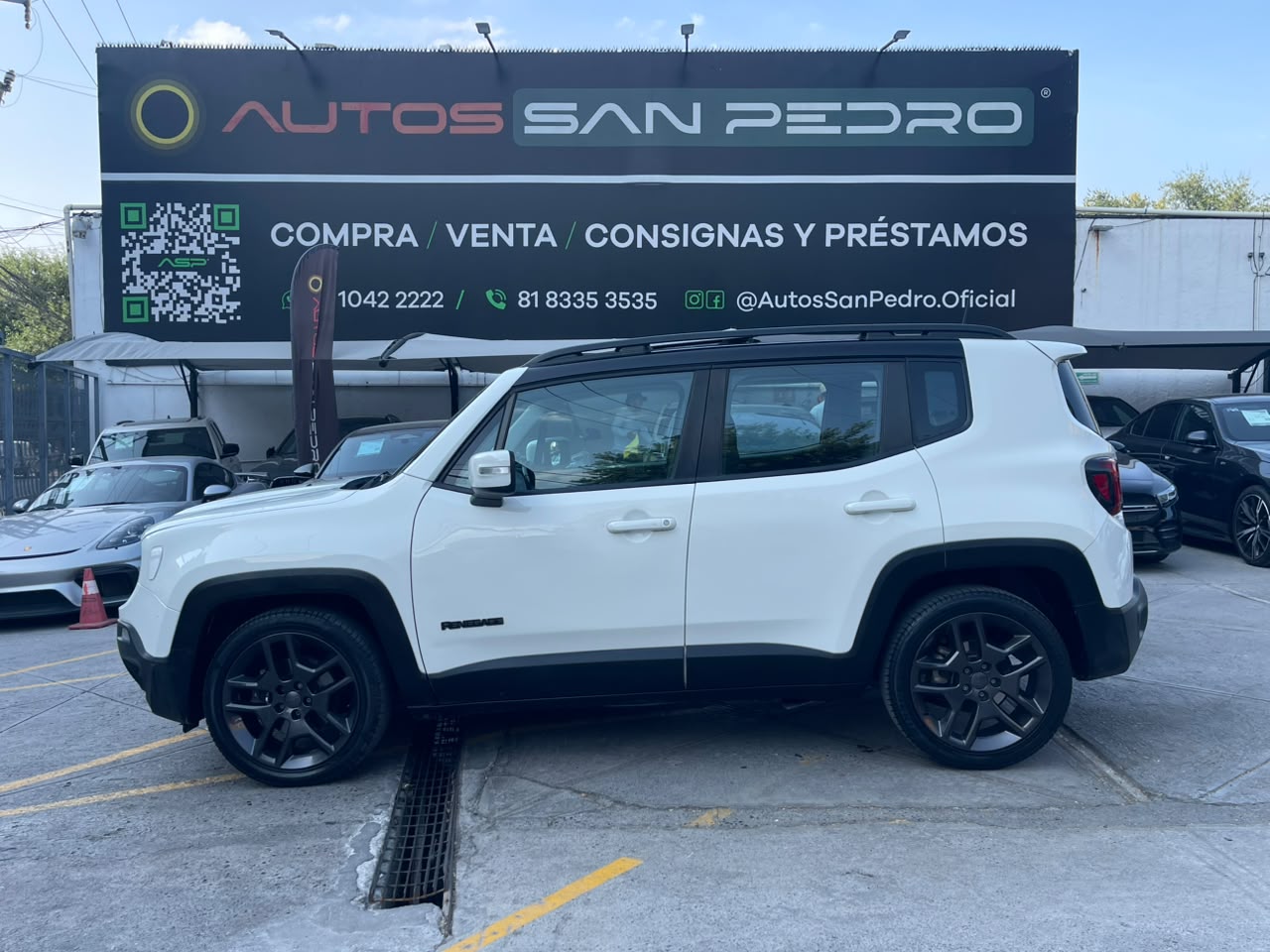 RENEGADE LIMITED