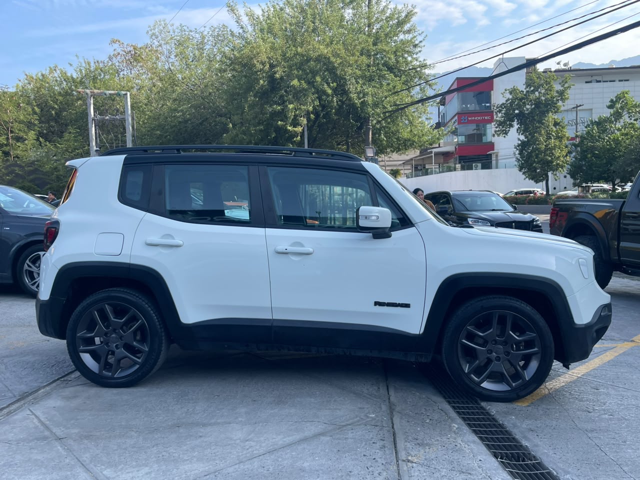 RENEGADE LIMITED