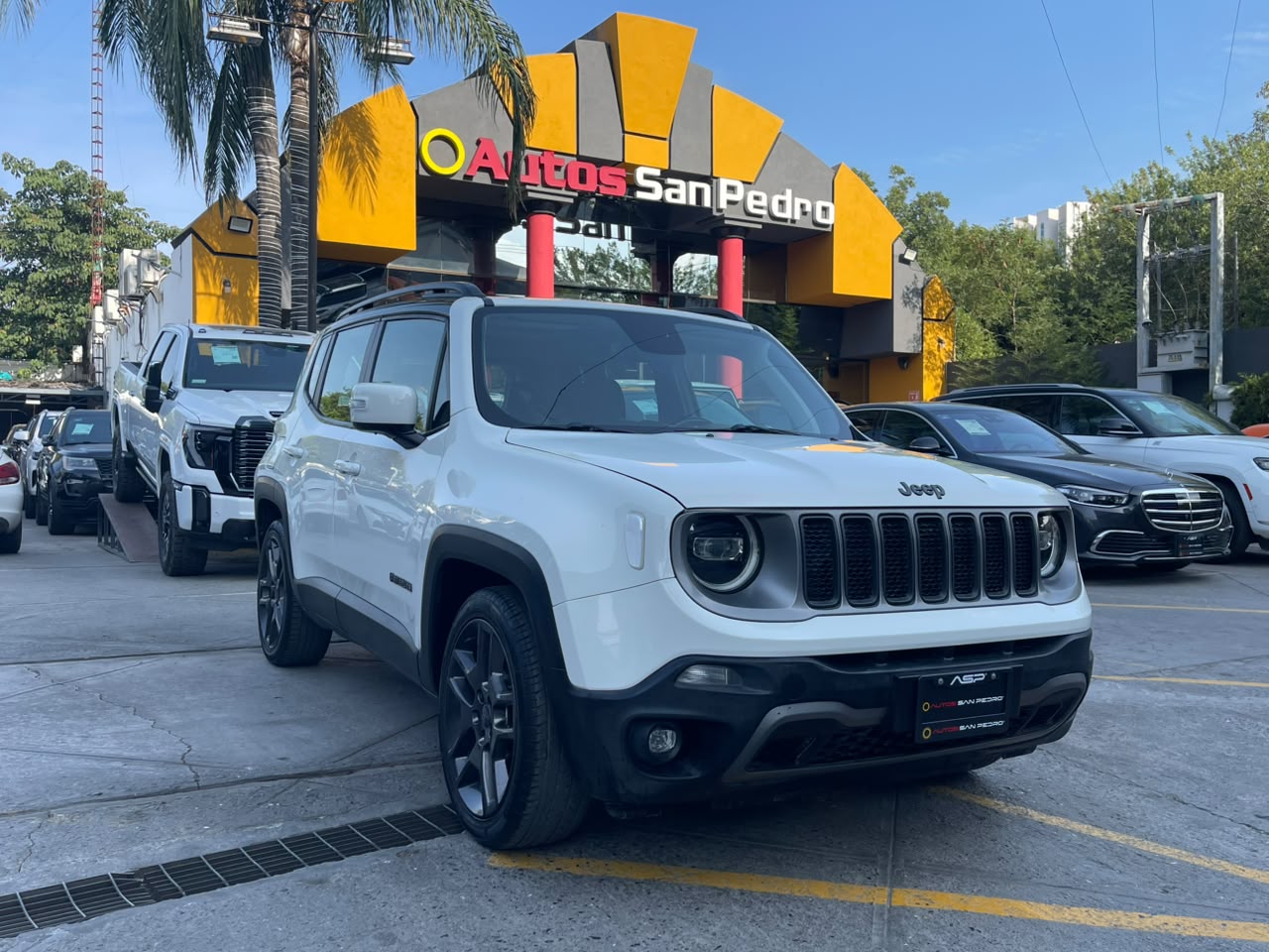 RENEGADE LIMITED