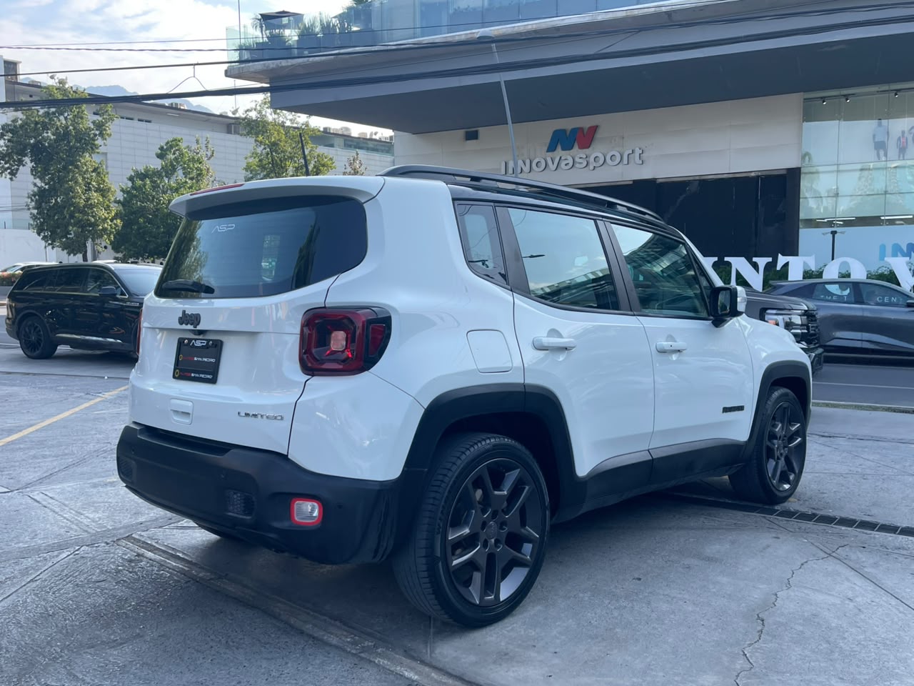 RENEGADE LIMITED