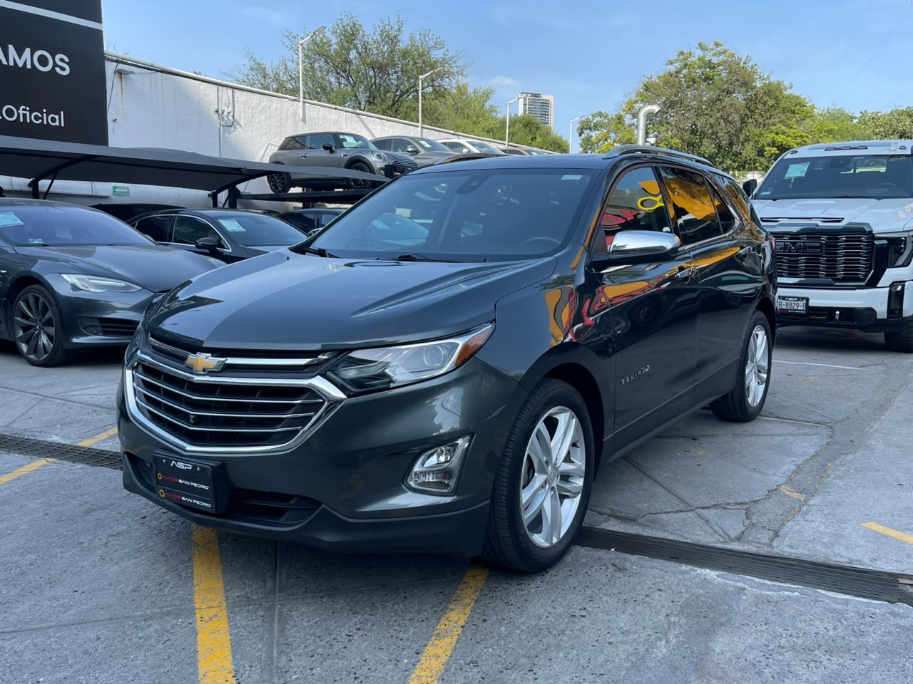 EQUINOX PREMIER PLUS