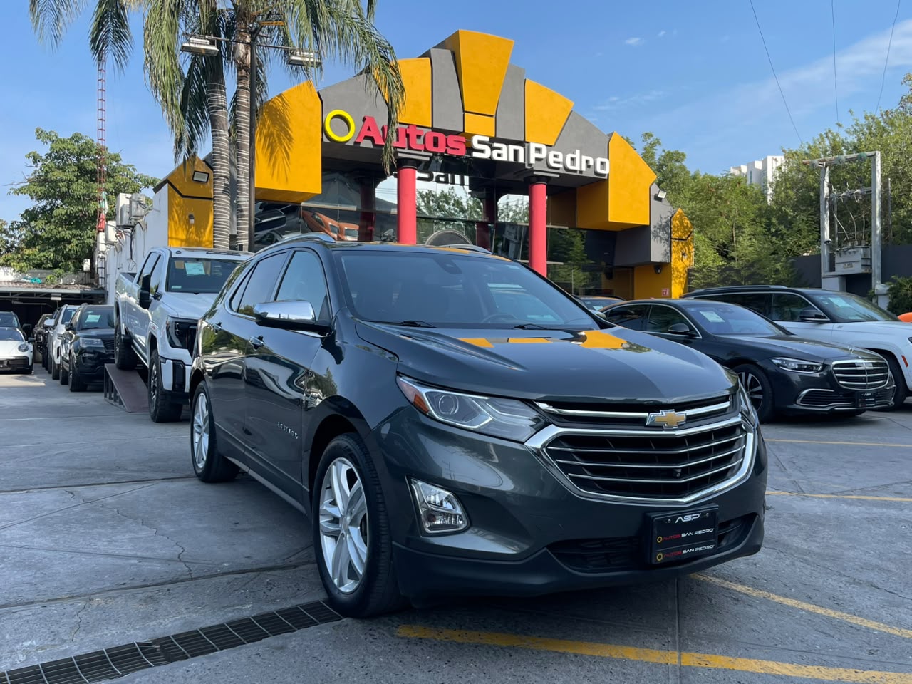 EQUINOX PREMIER PLUS