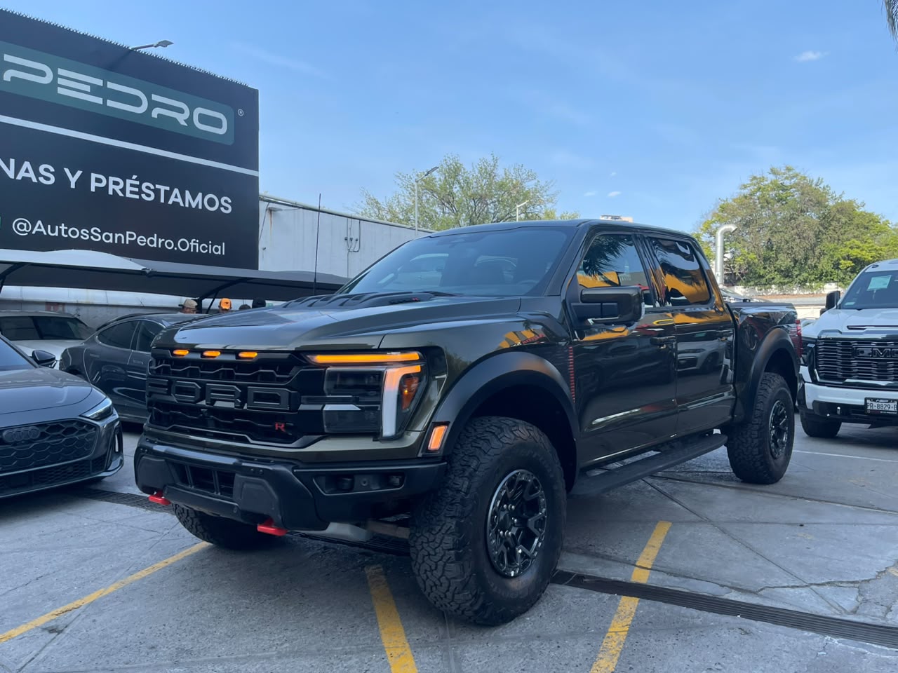 LOBO RAPTOR R