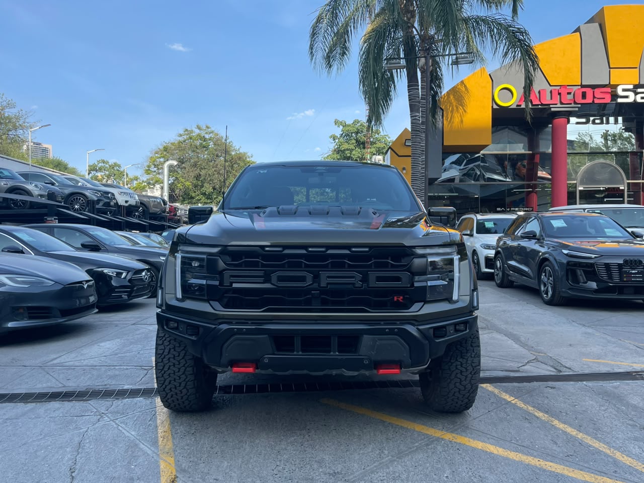 LOBO RAPTOR R