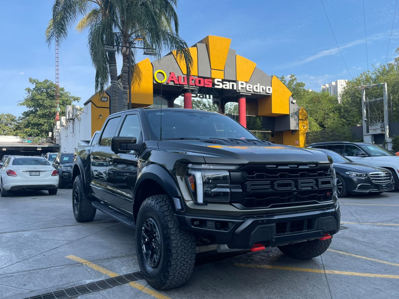 LOBO RAPTOR R